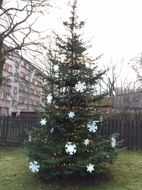 Biroja ēkas fasādes un 6m egles svētku noformējums